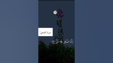 سورة الضحى بصوت جميل🌹