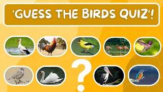 “Wingspan Wonders: Guess the Birds Quiz!”