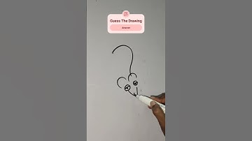 Rat Drawing / Mouse Drawing #drawing #shorts #mouse #rat viral videos