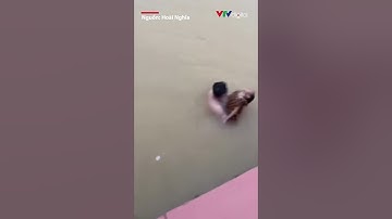 Người đàn ông dũng cảm lao xuống sông kịp thời cứu cháu bé bị đuối nước | VTV24