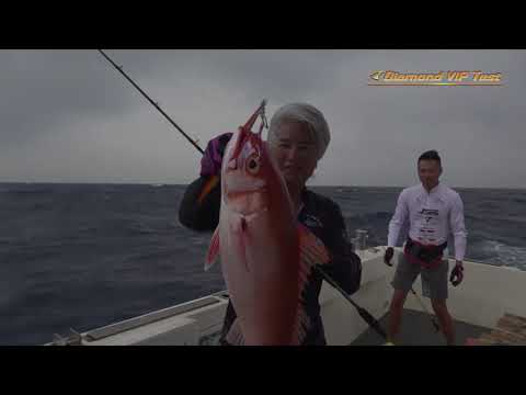 2019 JM V.I.P Diamond Jig
