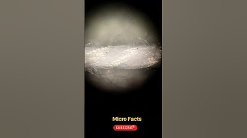 Thread details in microscope. #shorts #microfact