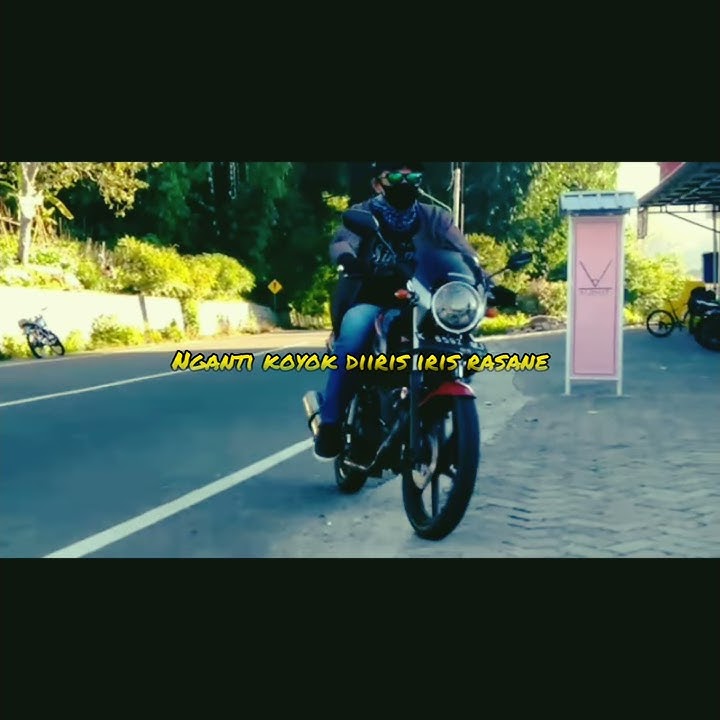Story wa HOLIDAY//DI TINGGAL PAS SAYANG-SAYANGE versi TIGER HEREX