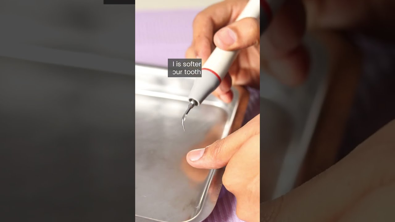 Does Scaling Harm Your Teeth Chopra Dental Care Nungambakkam Dr Pankaj