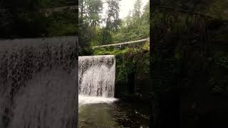 Shergaon waterfalls Arunachal 📍#travel #viral #nature #shortvideo