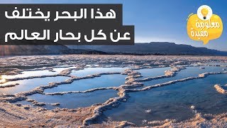 البحر الميت أغرب بحر بالعالم - طينه يعالج البهاق والصدفية والروماتيزم