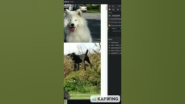 react cache, optimized image loading #programming #react #javascript #webdevelopment