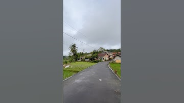 Suasana desa pinggir sawah dan waduk #shorts #waduk #sawah #shortsvideo #aesthetic #pemandangan