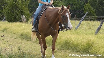 Spots***For info, price, etc., go to our website***ValleyViewRanch.net