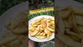 Spicy mango pickle??? | mango recipe mango foryou fruit viral shorts