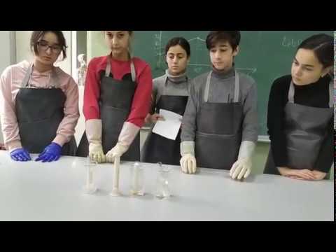 ენზიმები - \"ცოცხალი\" კატალიზატორები