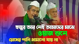 আমাদের মাঝে হুজুর আর নেই ?? মাওলানা সালেহ আহমদ _হুজুরের ওয়াজ শুনে চোখের পানি থামানো যায়