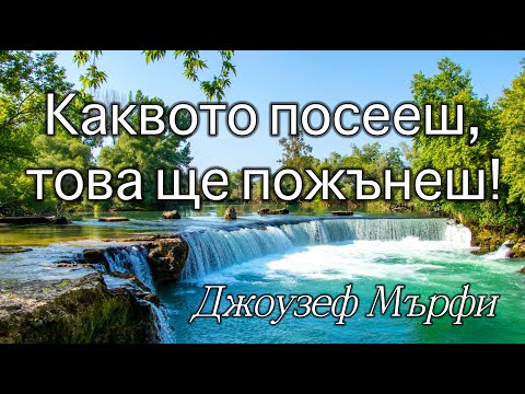 Видео: Кой е законът на Мърфи от Мърфи?