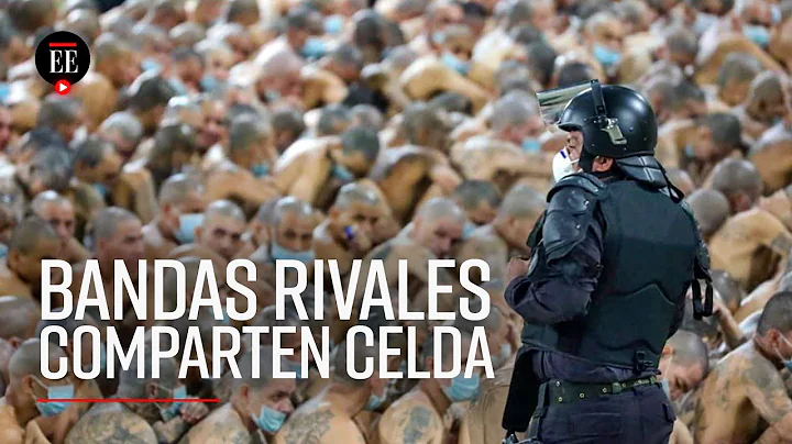 Crceles de El Salvador: Nayib Bukele ordena mezcla...