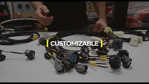 Rywire Engine Harness Basics. How to Order. OBD Identification and More!