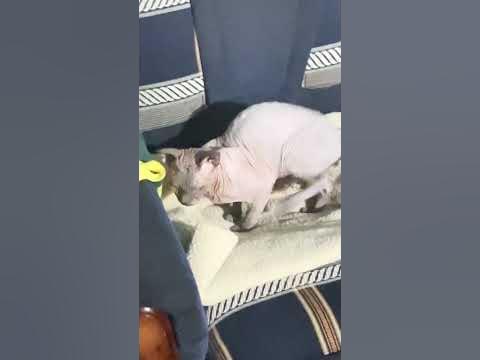 Знать со 0. Знать со 0. Знаете ли вы что. Знаете ли вы картинка. Надпись это интересно знать.