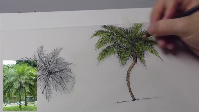 Segredos do DESENHO DE VEGETAÇÃO - Como desenhar árvores #desenho  #paisagismo #vegetação 