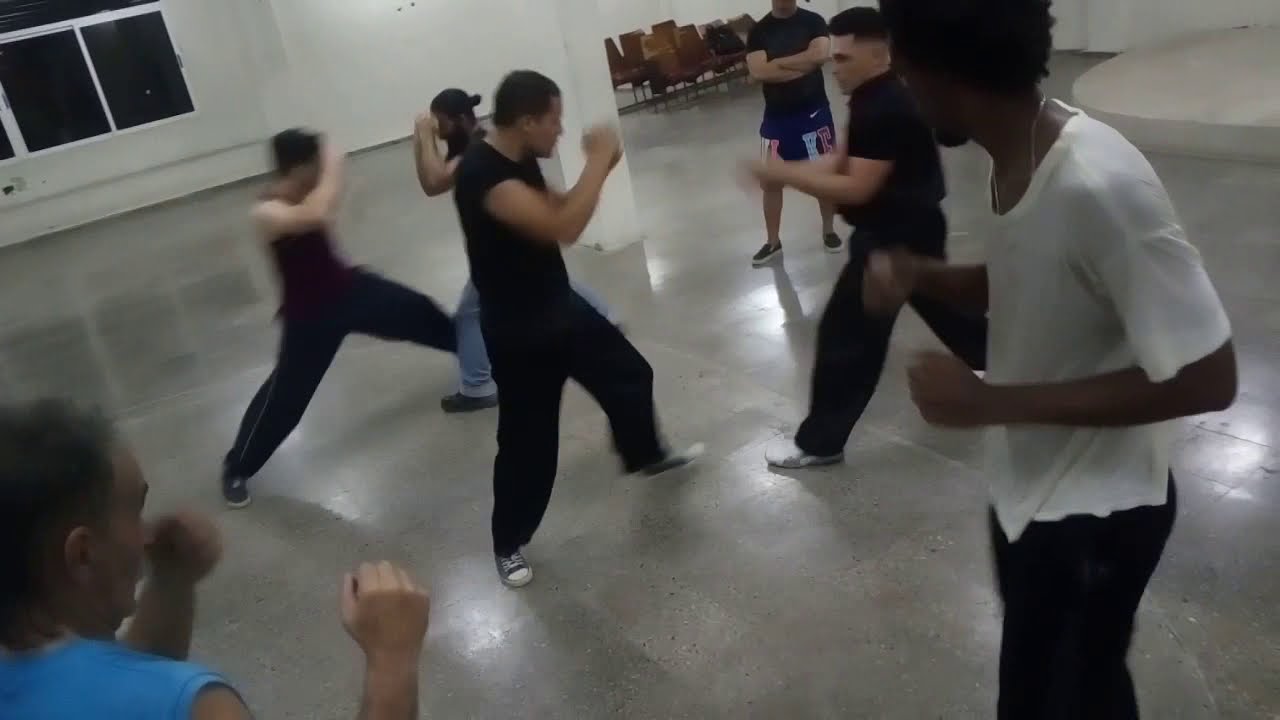 Professional Cuban Choy Lee Fut Kung Fu Sifu Yonieddy Pupo´s Training ...