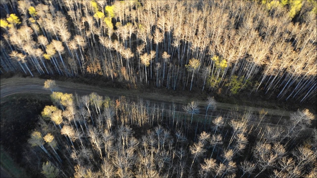 Old Bezanson Town Site Bezanson, Alberta YouTube
