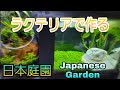 ラクテリアで作る日本庭園Japanes Garden　#アクアリウム#ベタ#水草#GEX#ラクテリア#よこはま金魚