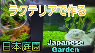 ラクテリアで作る日本庭園Japanes Garden　#アクアリウム#ベタ#水草#GEX#ラクテリア#よこはま金魚