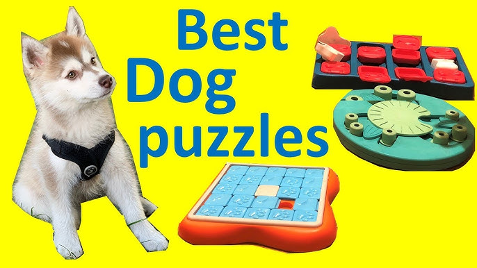 Which puzzle game suits my dog/cat/pet best? - Nina Ottosson Treat Puzzle  Games for Dogs & Cats