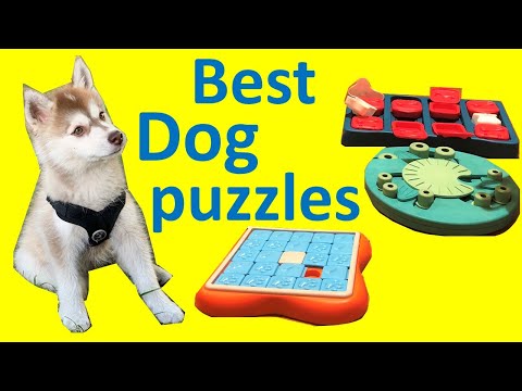 KADTC Dog Puzzle Toy Dogs Brain Stimulation Mentally Stimulating Toys  Beginner