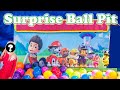 The Assistant Opens the  Paw Patrol and Blaze Surprise Ball Pit