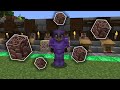 CUBREME EN NETHERITE - ELITECRAFT 2 - Directo 5