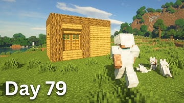 Building A House But Only Adding One Block A Day (Day 79)