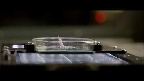 Find Life, Fear Life | #LifeMovie | In cinemas March 24th