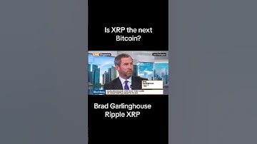 Brad Garlinghouse Explains How #Ripple Has Worked with Regulators to Create Value in #XRP  #shorts