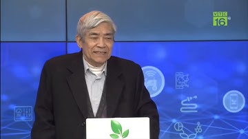 Những điều cần lưu ý khi nuôi cá vào mùa đông