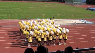 MCS 2015 1-Minute Cheergroup: Topaz