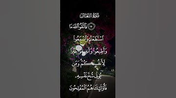 سورة التغابن فاتقوا الله مااستطعتم واسمعوا واطيعوا وأنفقوا خيرا لانفسكم الاية ١٦