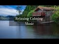 Relaxing music  stress relief  meditation music  soothing music