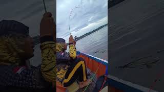 Mancing udang di sungai mahakam, dapat sambaran ternyata ini yang makan #mancing #fishing