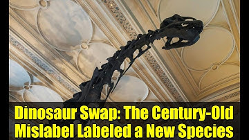 Dinosaur Swap: The Century-Old Mislabel Labeled a New Species
