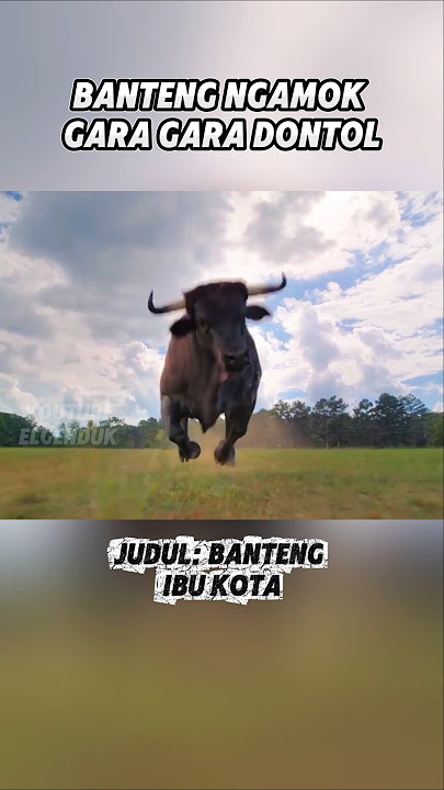 BANTENG NGAMUK TAK TERKENDALI #alurceritafilmpendek  #rangkumfilm