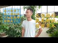 工作室情况更新：水电已经接好，器具测试完毕，吐槽漆二娃干活偷懒！
