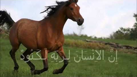 سورة العاديات برواية ورش للأطفال - عبد الكبير الحديدي