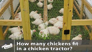 How Many Chickens Per Chicken Tractor?