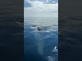 4574403416206 4574403416206