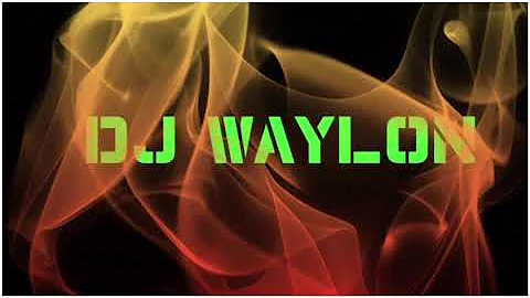 DJ Waylon Mix 4