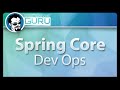 3.1 Spring Profiles Section Overview