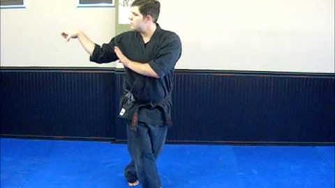 Shaolin Kempo - Master