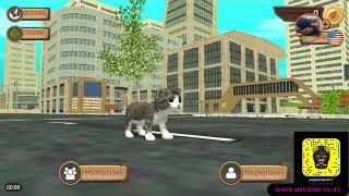 To Put Gaming With Friends To A End Cat Sim Online