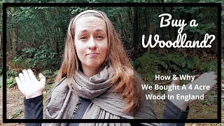 How Did We Buy A Woodland? And Why We Own Our Wood.