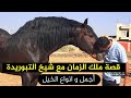 قصة السلطان مع شيخ التبوريدة و انواع الخيل اجود الخيول و الفحول الملكية خيل Horse Horses قصة السلطان مع شيخ التبوريدة و انواع الخيل اجود الخيول و الفحول الملكية خيل Horse Horses