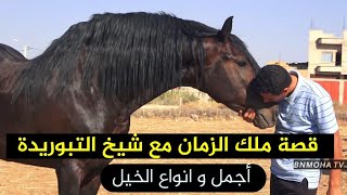 قصة السلطان مع  شيخ التبوريدة و انواع الخيل 🐎  .. اجود الخيول و الفحول الملكية  #خيل #horse #horses